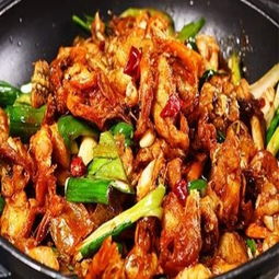 牛蛙愛上蝦產(chǎn)品 牛蛙愛上蝦產(chǎn)品圖片 牛蛙愛上蝦怎么樣 最新牛蛙愛上蝦產(chǎn)品展示